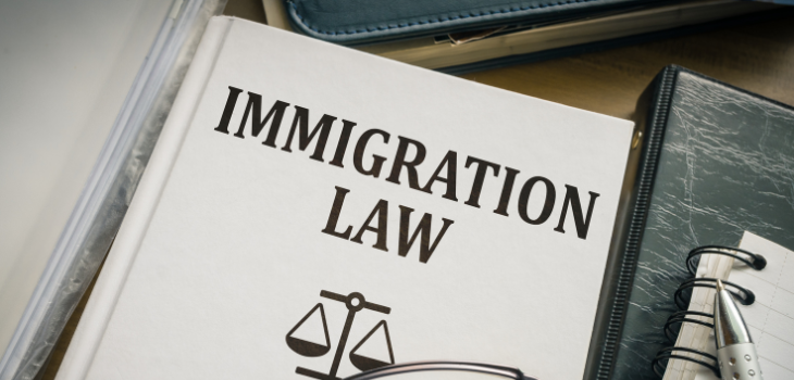 Immigration Law